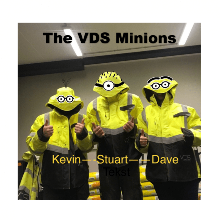 VDS Minions.PNG